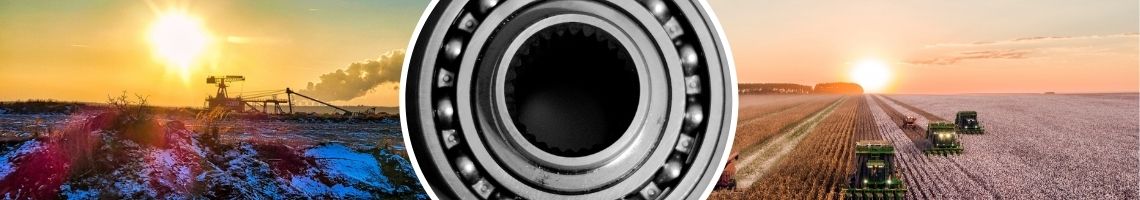 Rolamento radial de roloos