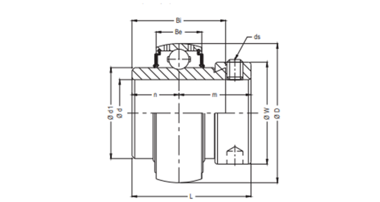 Rolamento G 206 V22.